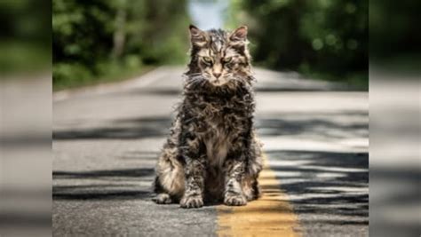 Pet Sematary: A Bone-Chilling Descent into Grief and Supernatural Terror!